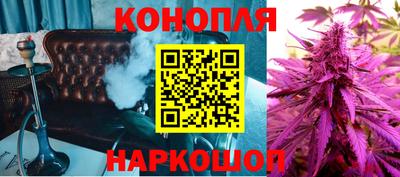 индика Пенза