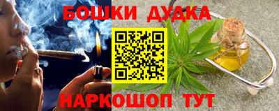индика Пенза
