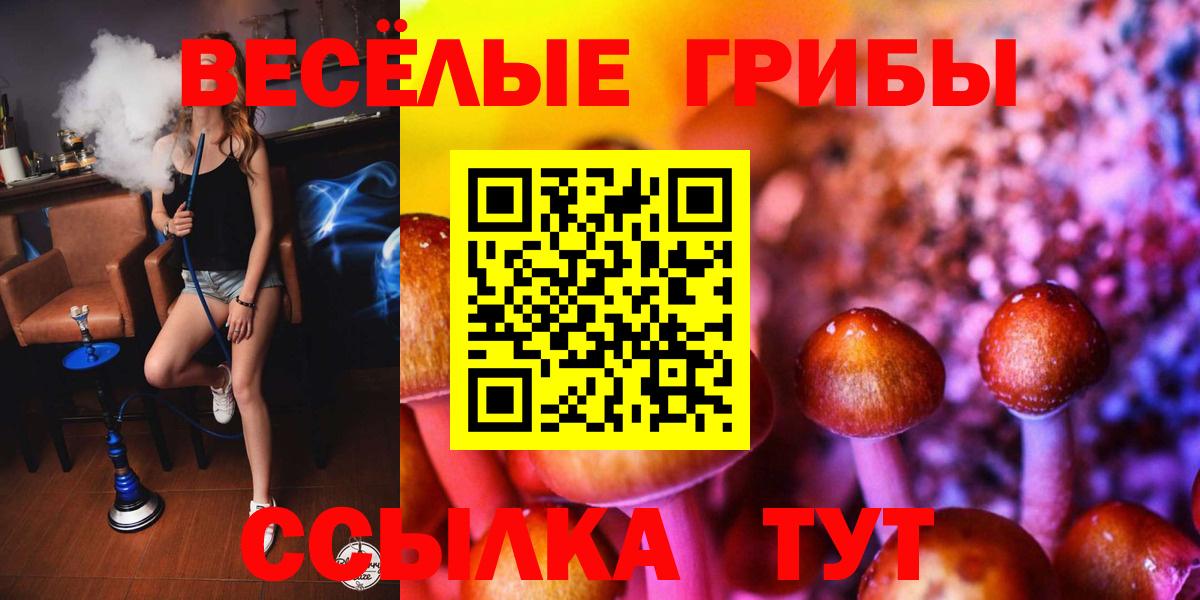 Псилоцибиновые грибы прущие грибы  Вход с VPN  Рубцовск  где купить наркоту  Галлюциногенные грибы Cubensis 